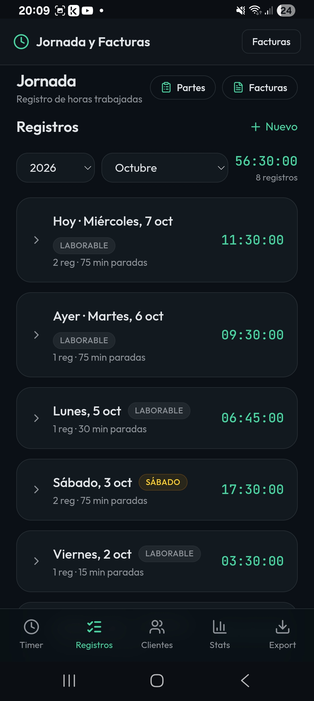 Resumen de horas registradas por día